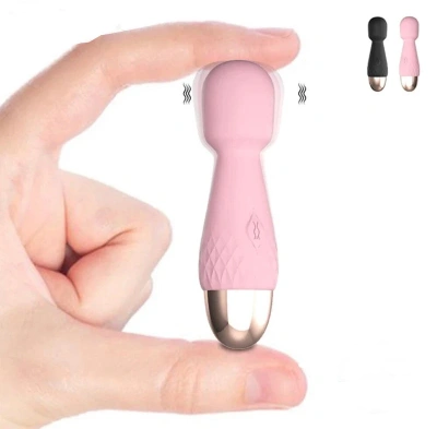 Microfono Recargable Lilo Mini
