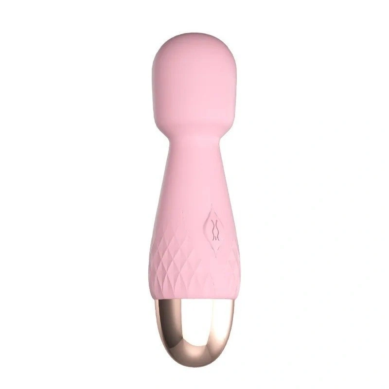 Microfono Recargable Lilo Mini