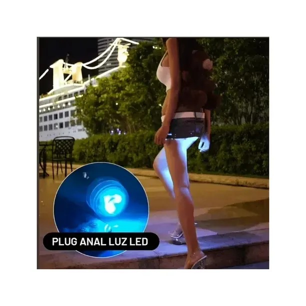 Plug anal Luz LED con control