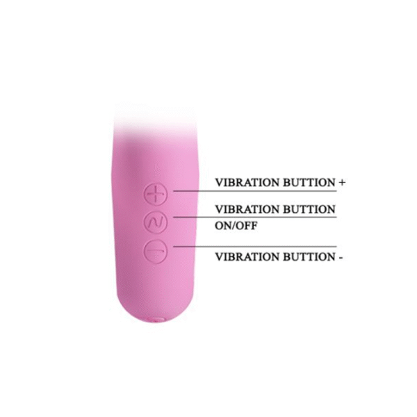 1080-32.png Vibrador Conejo de Lujo Recargable