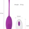 Vibrador Huevo con Control Recargable Playful