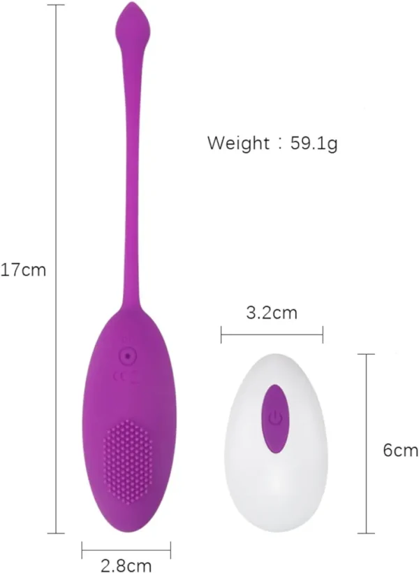 Vibrador Huevo con Control Recargable Playful