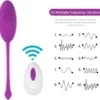 Vibrador Huevo con Control Recargable Playful