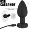 Plug Anal Recargable con Control