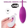 Vibrador Huevo con Control Recargable Playful